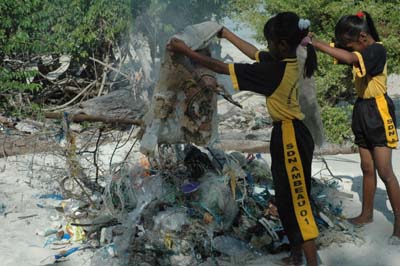 3beachcleaning